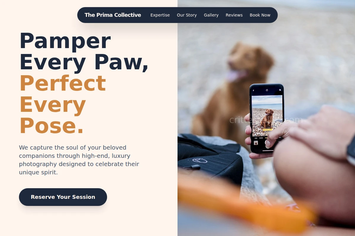 Luxe Pet Photography